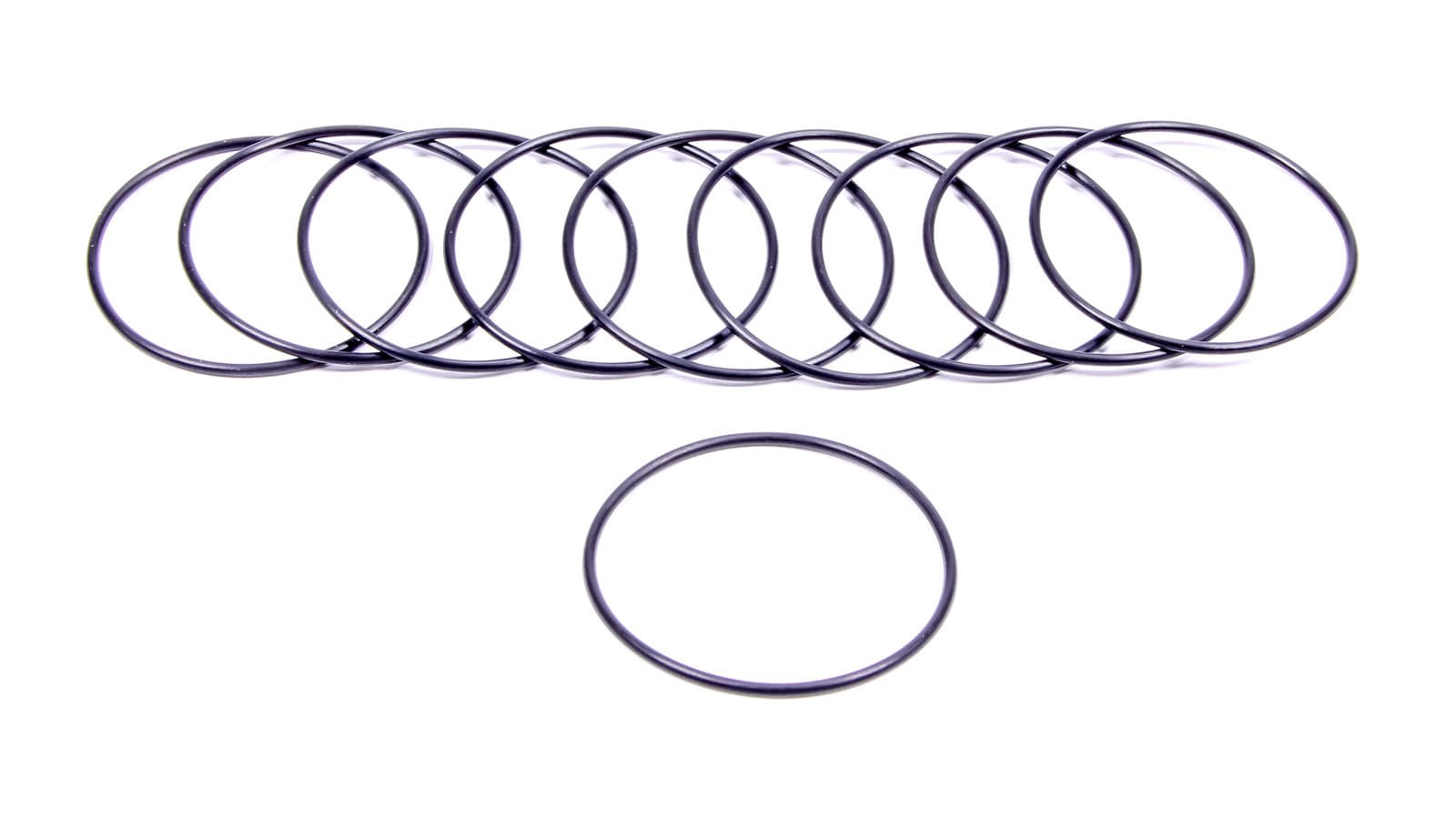 Filter O-Rings (10) 