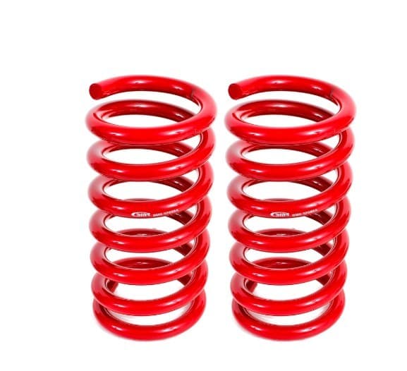 15-20 Mustang Lowering Springs Rear Drag Versin